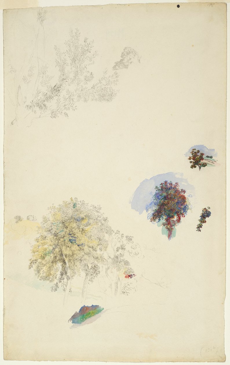 Studie stromů a listů od Pierre Auguste Renoir
