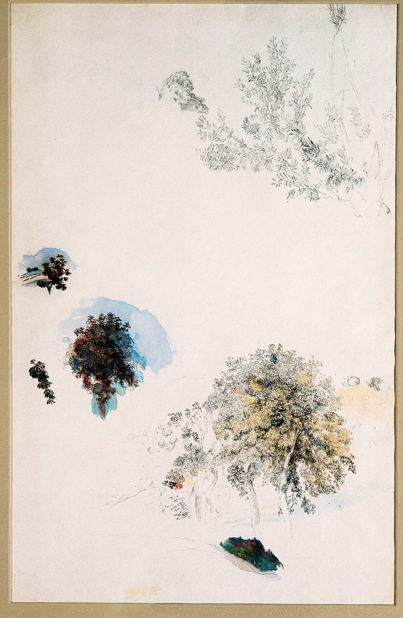 Studie stromů od Pierre Auguste Renoir