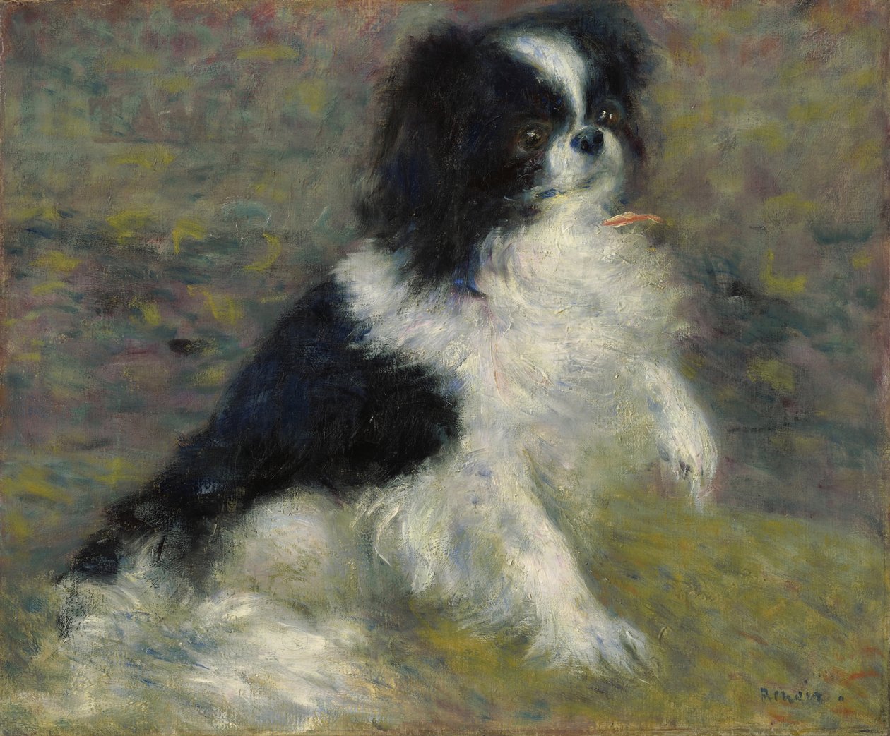 Tama, japonský pes, kolem roku 1876 od Pierre Auguste Renoir