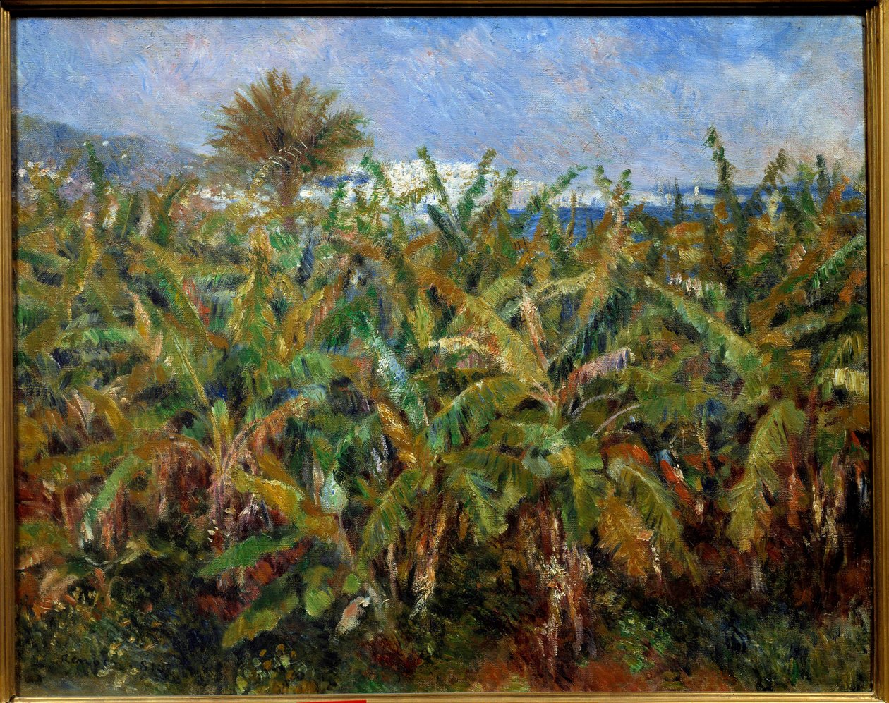 Un champ de bananas Obraz od Pierra Auguste Renoira (1841-1919) 1881 Sun. 0,51x0,63 m Paříž, musee d