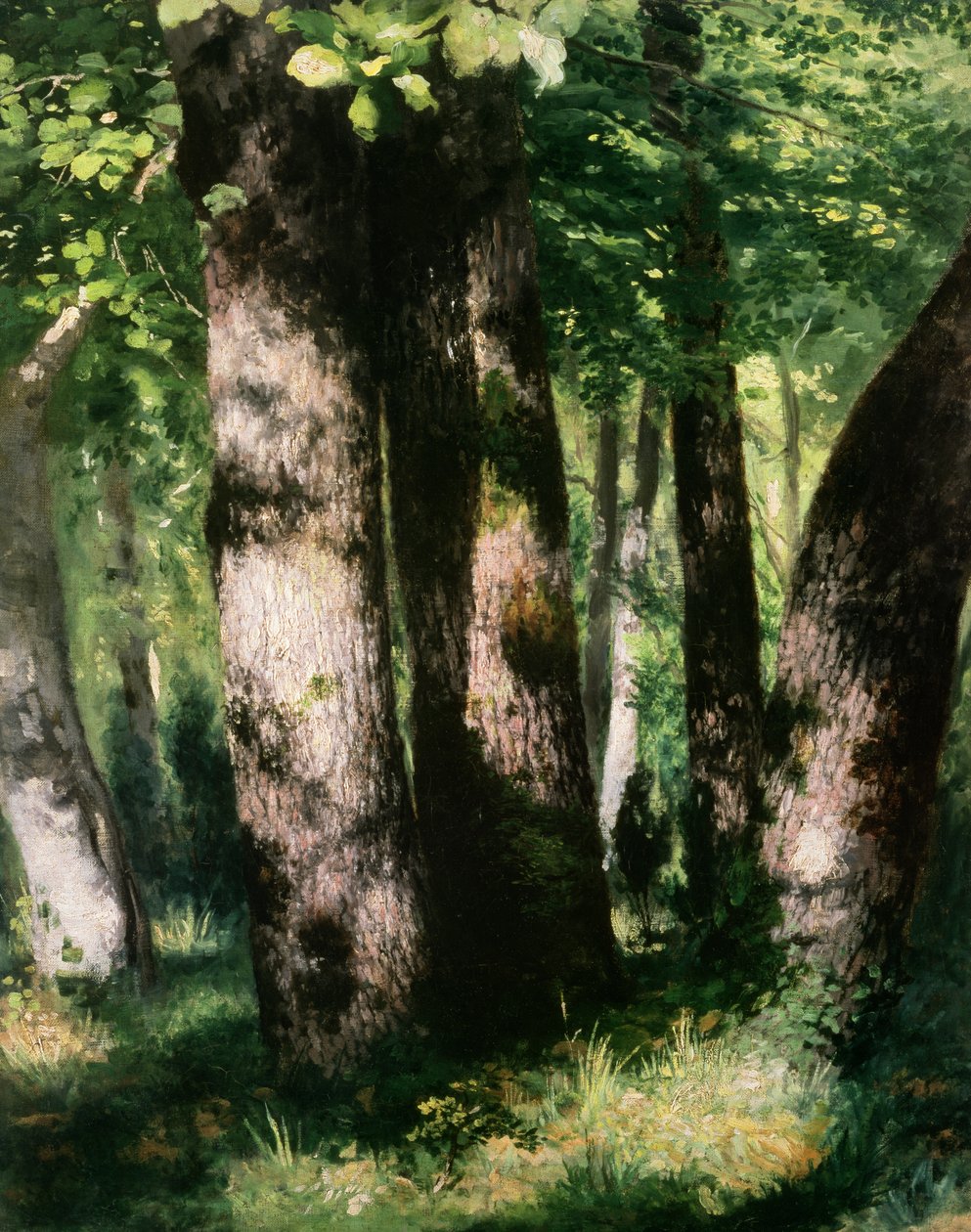 Neznámý obrázek od Pierre Auguste Renoir