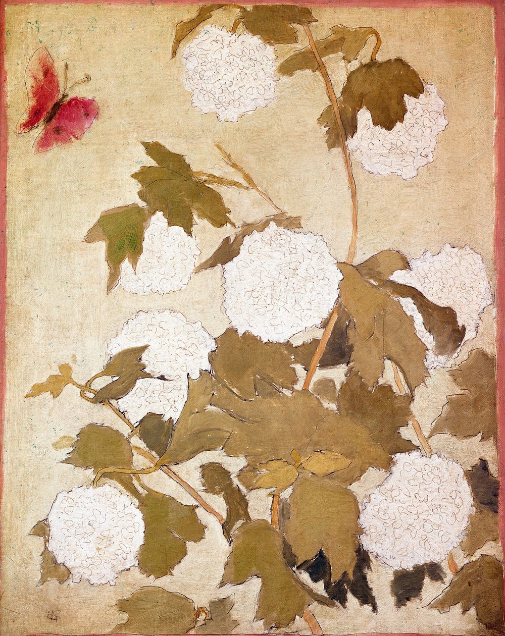 Sněhové koule Květiny Sněhové koule (Viburnum Ob) a červený motýl. Obraz Pierra Bonnarda (1867-1947) Sbírka P. M. Samuel od Pierre Bonnard
