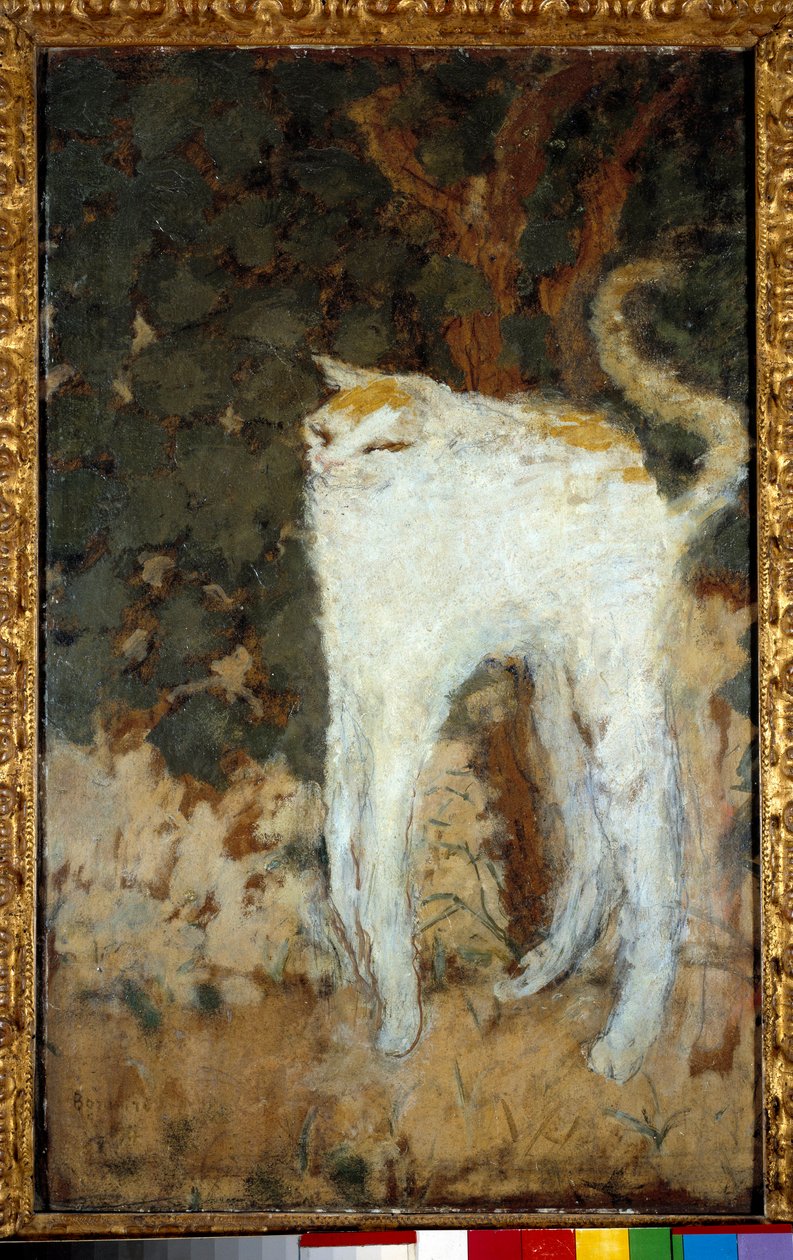 Bílá kočka od Pierre Bonnard