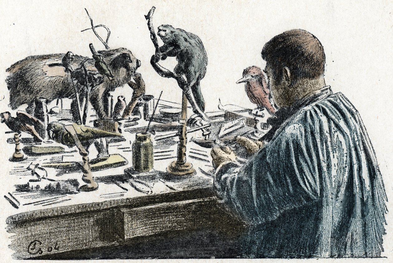 Preparování zvířat: Vycpaná zvířata preparování zvířat ve své dílně Gravírování z Excursion a travers les metiers“ od Pierre Calmette Collection privee od Pierre Calmettes
