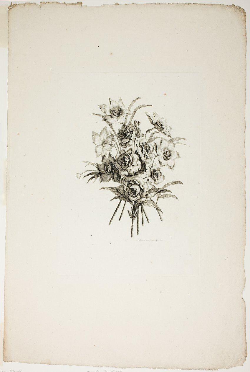 Kytice s narcisy, ze sbírky různých kytic květin, vynalezené a nakreslené Jean Pillement a vyryté P. C. Canotem od Pierre Charles Canot