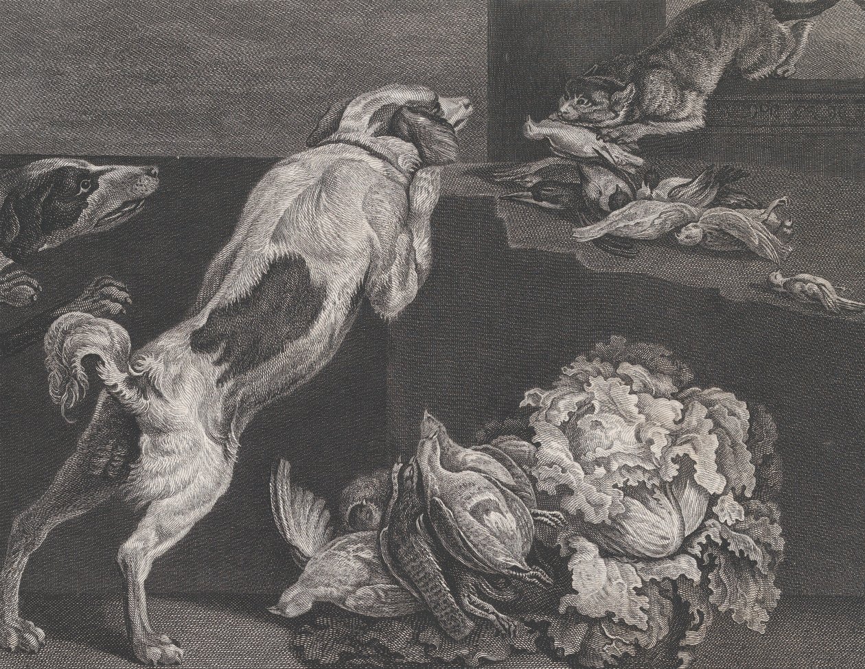Psi a zátiší, 1778 od Pierre Charles Canot