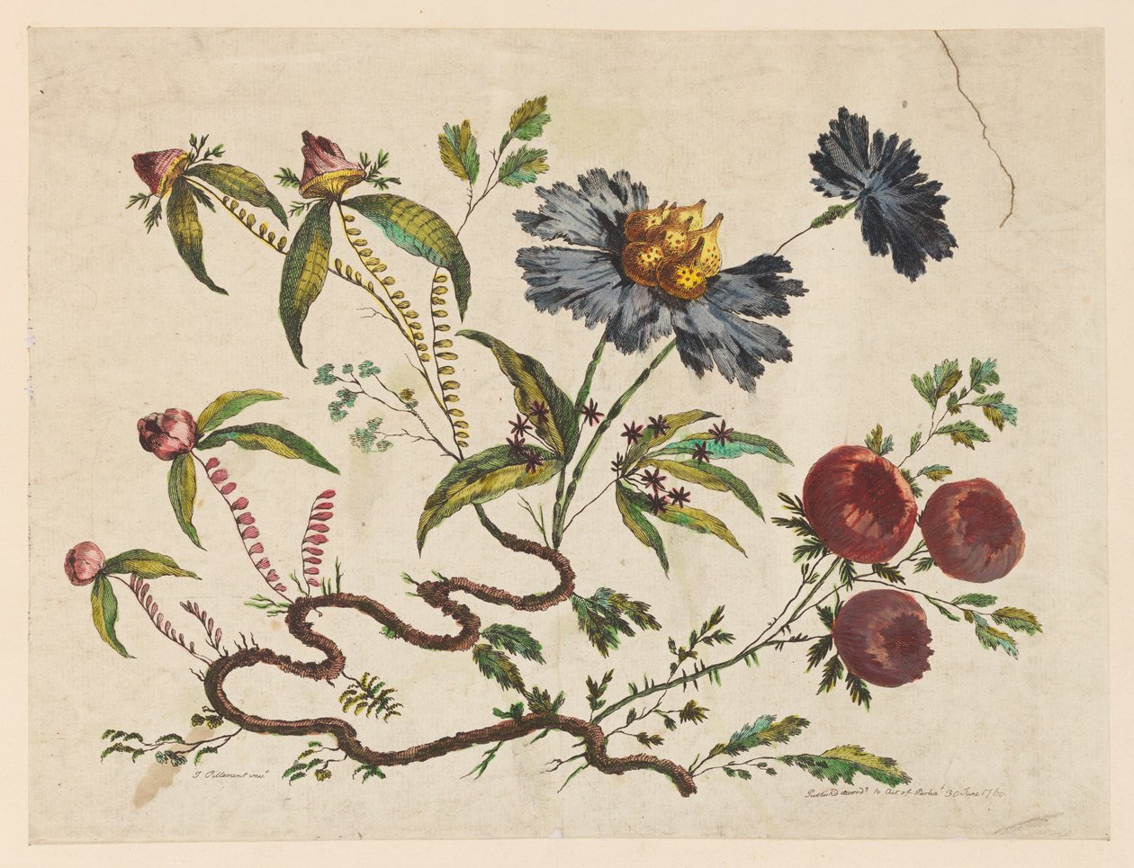 Tisk, Flower Boughs, z knihy "Recueil de Differentes Fleurs de Fantaisie Dans le Goût Chinois". od Pierre Charles Canot