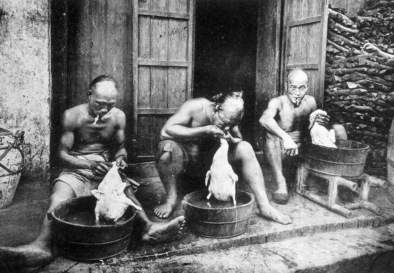 Čínské kachní peří, „“ Saigon a jeho okolí“, fot. Dieulefils, c. 1900. od Pierre Dieulefils
