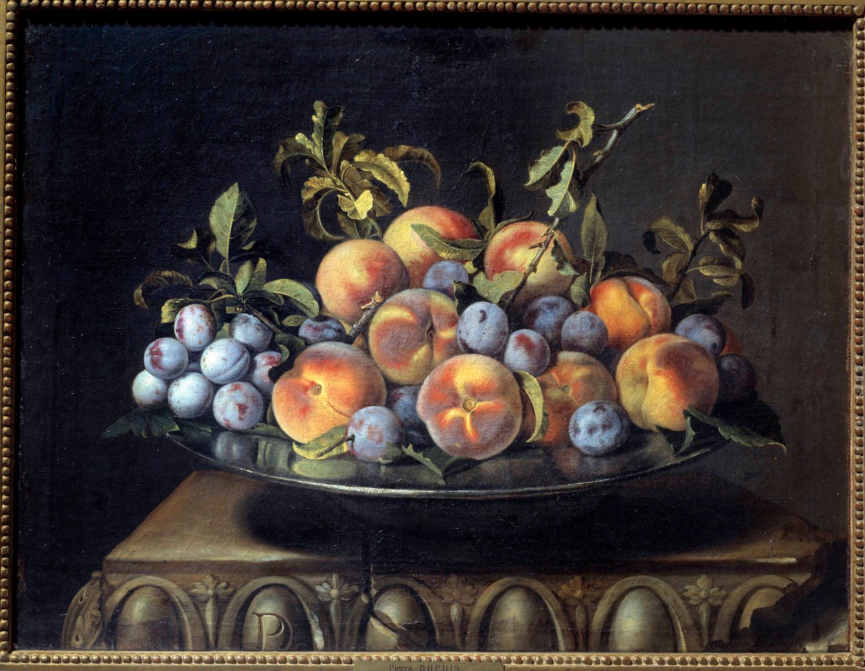 Broskve a švestky v plechové misce Obraz Pierra Dupuise (1610-1682) 17. století Sun. 0,48x0,61 m od Pierre Dupuis