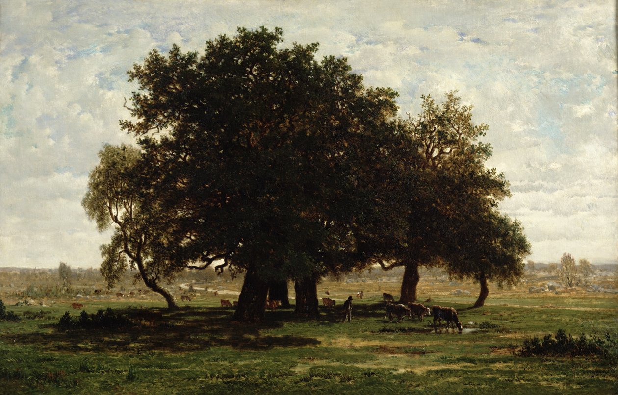 Holm Oaks, Apremont, 1850-52 od Pierre Etienne Theodore Rousseau
