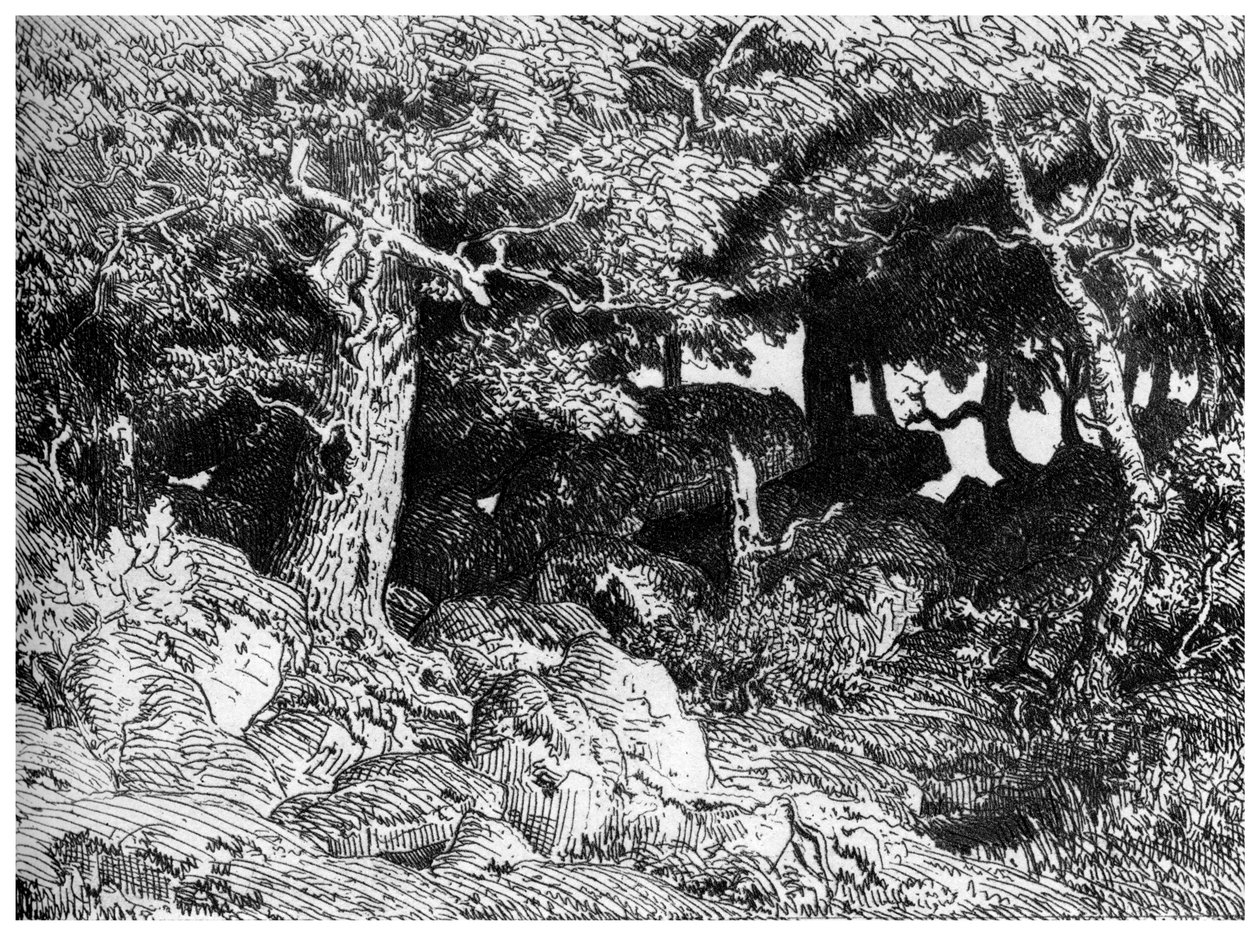 Chenes de Roche, c1832-1860, 1924 od Pierre Etienne Theodore Rousseau