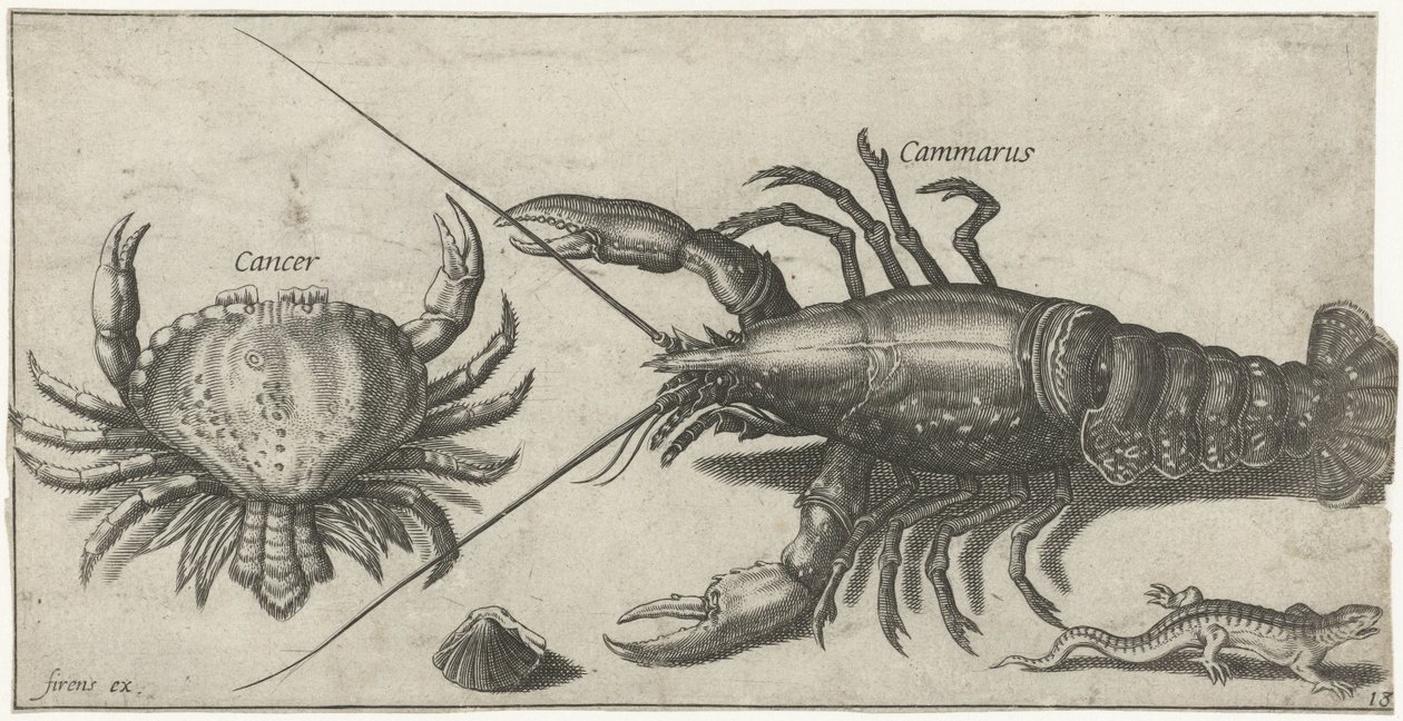 Humr, krab, mlok a mušle Rybaření (název seriálu) Ikony Piscium vivae (název série) od Pierre Firens