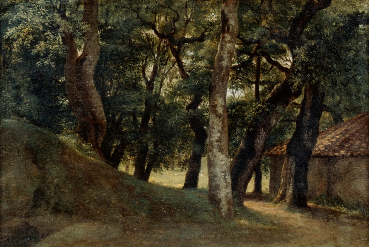 Les vily Borghese, konec 18. až 19. století od Pierre Henri de Valenciennes