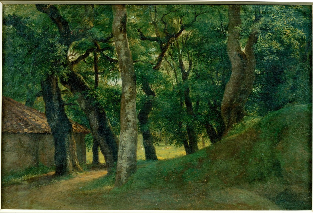 Foret de la Villa Borghese - Les vily Borghese ... od Pierre Henri de Valenciennes