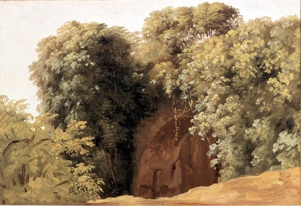 Ruiny arkády se shluky trávy od Pierre Henri de Valenciennes