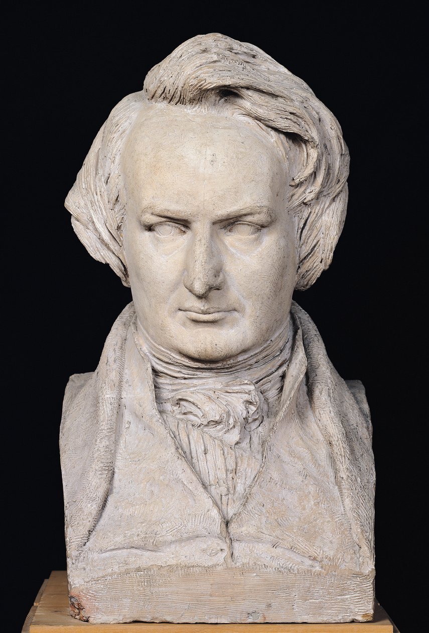 Busta Victora Huga (1802-85) ve věku 35 let, 1837 (sádra) od Pierre Jean David d