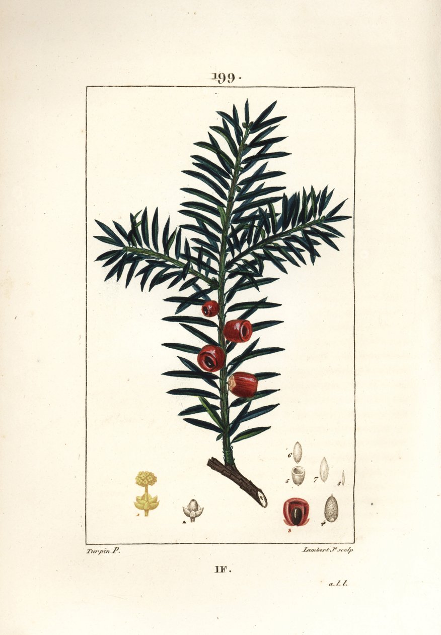 Závěsný od Pierre Jean Francois Turpin