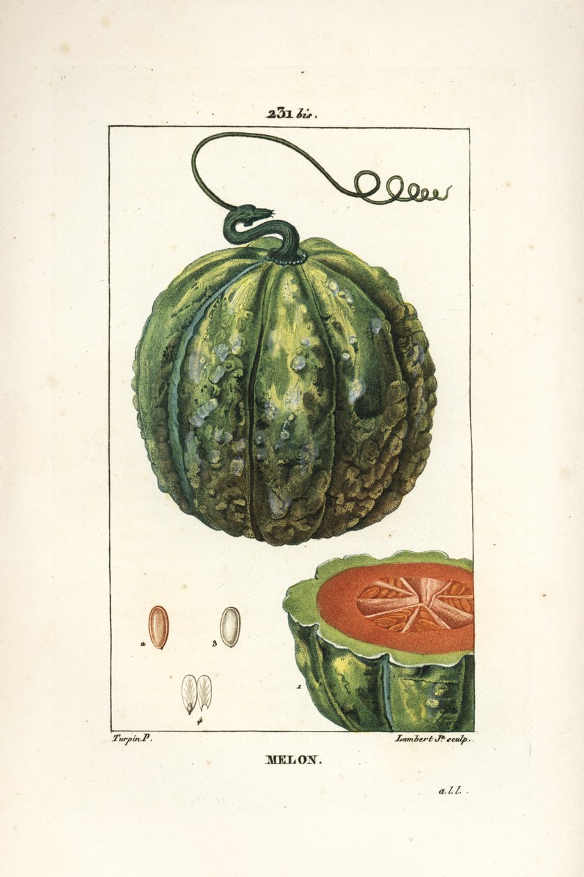 Závěsný od Pierre Jean Francois Turpin