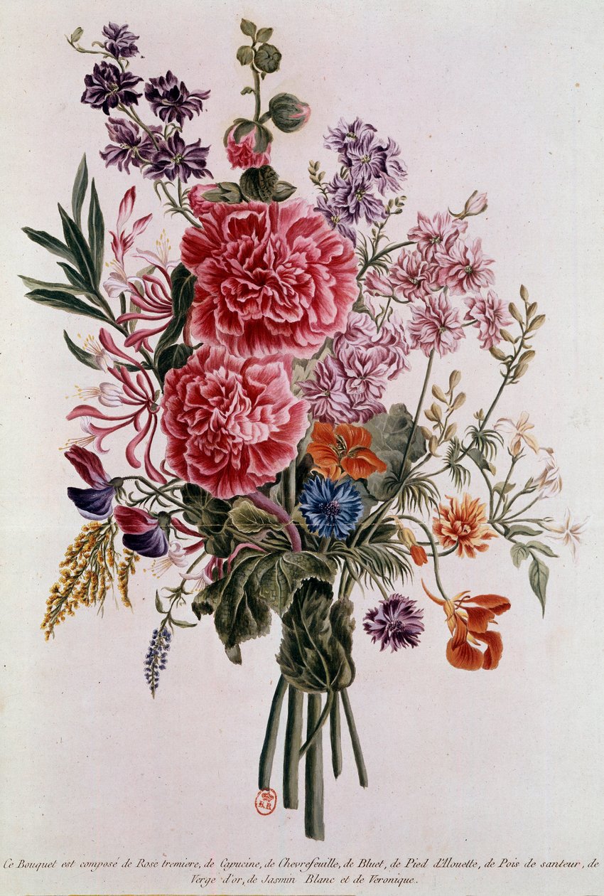 Kytice složená s růžemi Litografie Pierre Joseph Buchoz (1731-1807) 18. století Paříž, B.N. od Pierre Joseph Buchoz