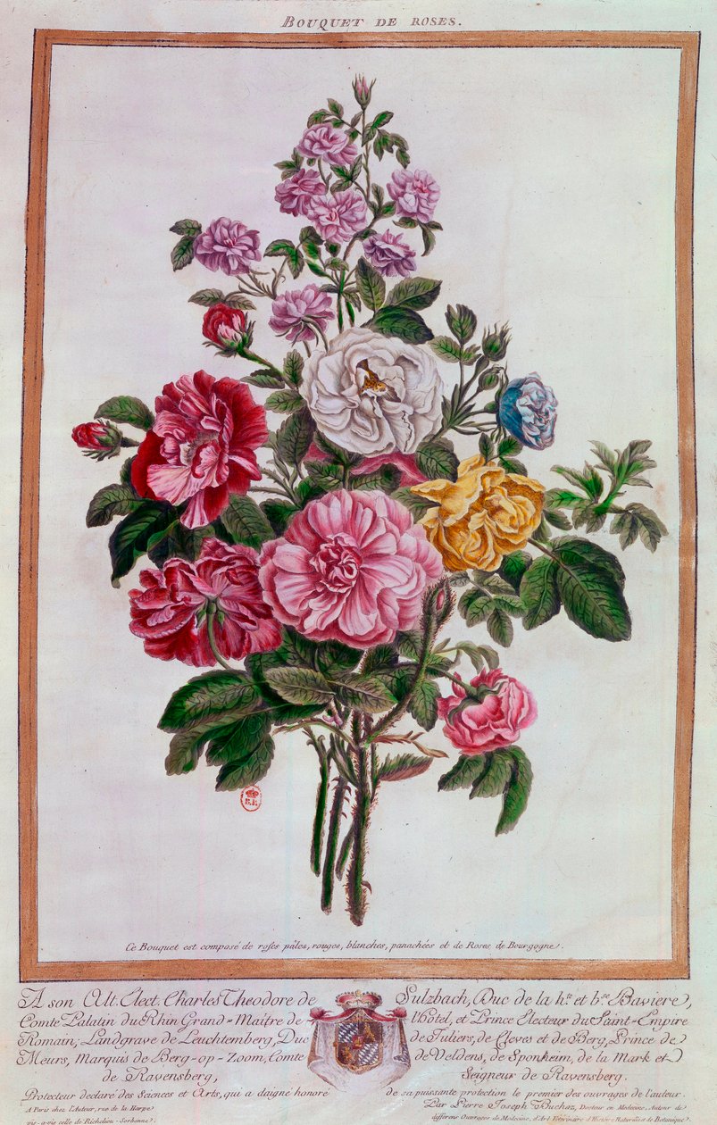 Kytice růží Litografie od Pierra Josepha Buchoze (1731-1807) Paříž 18. století, B.N. od Pierre Joseph Buchoz