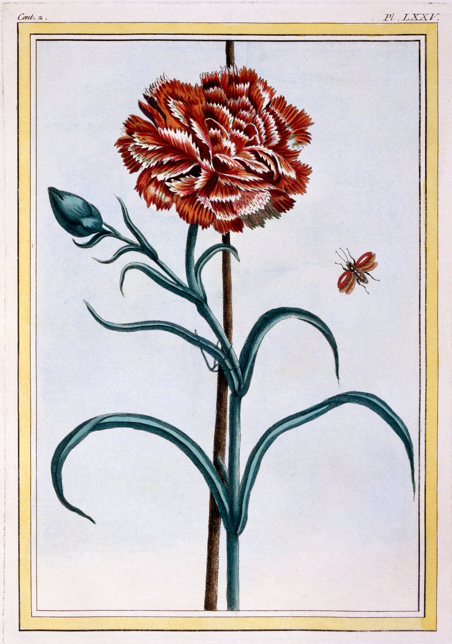 Karafiát, hospoda. 1776. od Pierre Joseph Buchoz