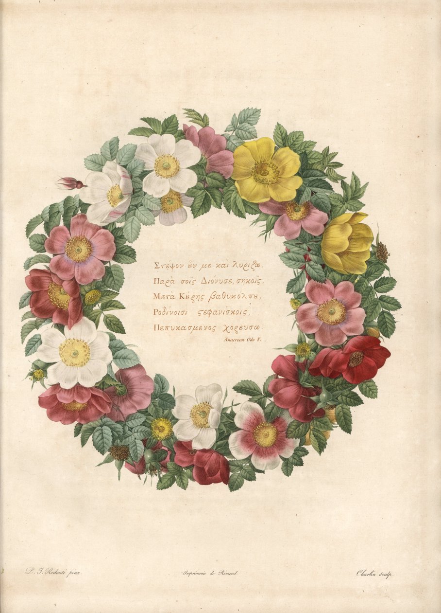 Koruna růží s řeckým heslem - Eau forte od Charlina, podle ilustrace Pierre Joseph Redoute (1759-1840), z Les Roses od Pierre Joseph Redouté