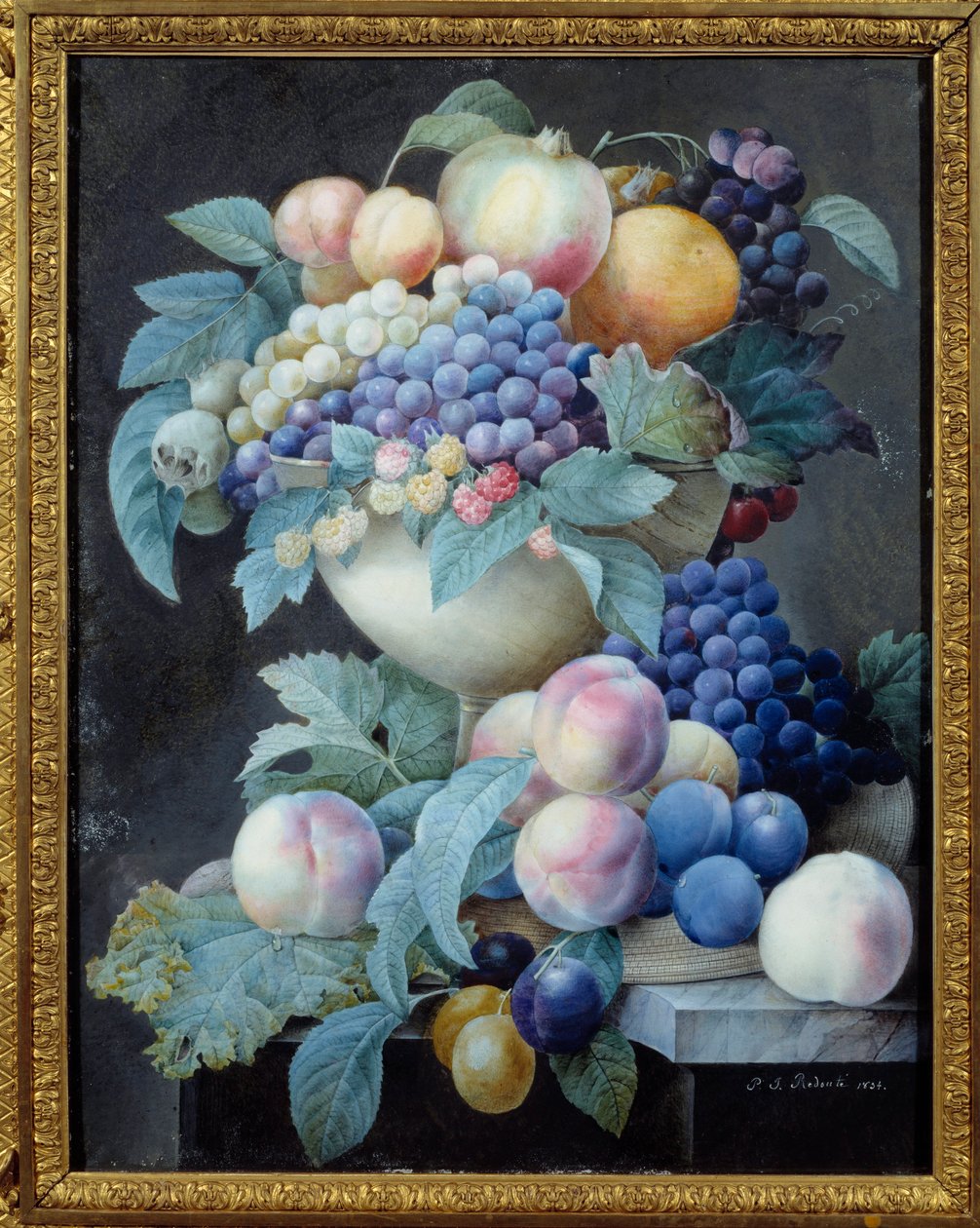 Hrozny v šálku. Obraz Pierra Josepha Redouta (1759-1840) od Pierre Joseph Redouté