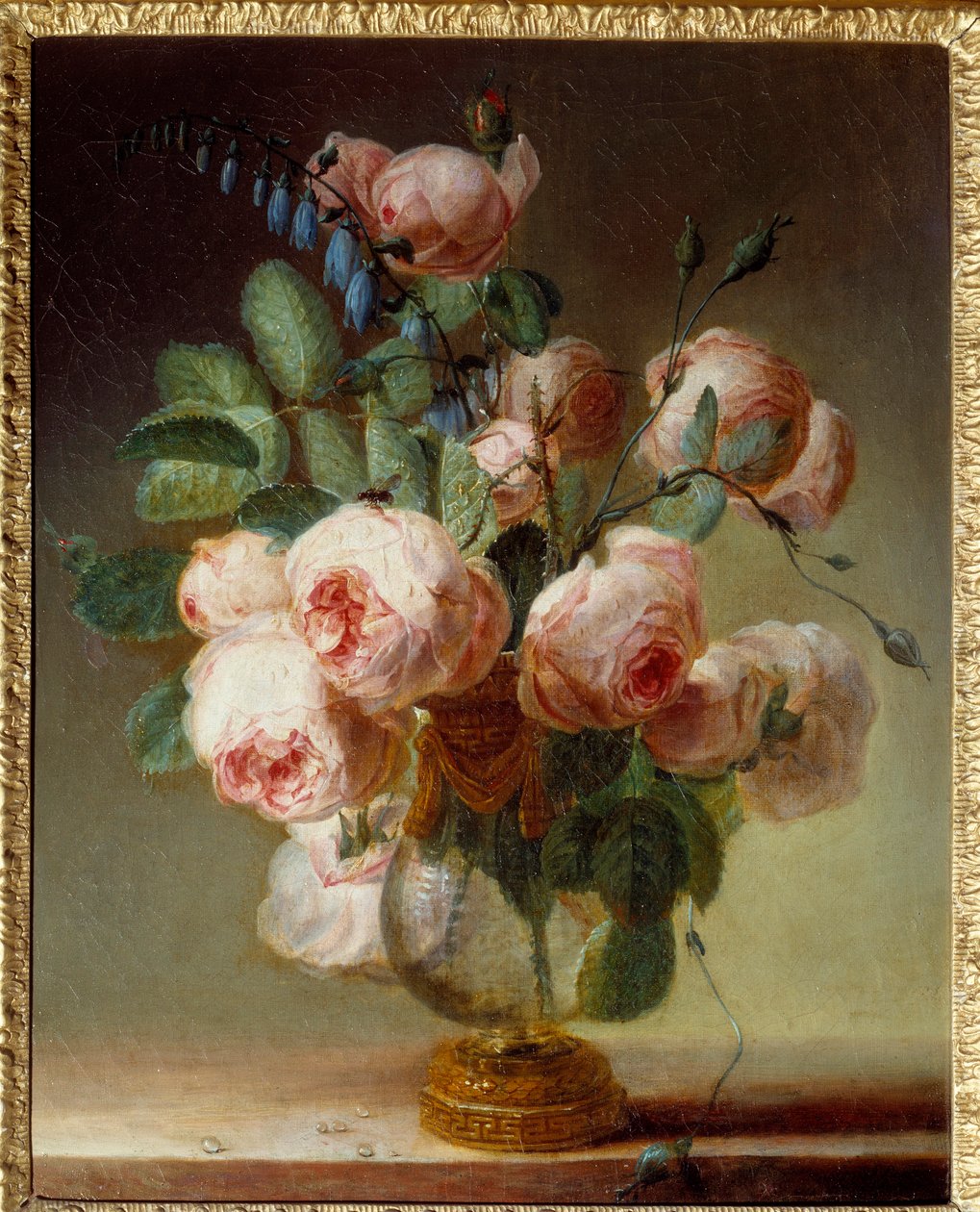 Váza na květiny Kytice pivoněk. Obraz Pierra Josepha Redouteho (1759-1840) 19. století Sun. 0,46x0,37 m Rouen, Musee des Beaux Arts od Pierre Joseph Redouté