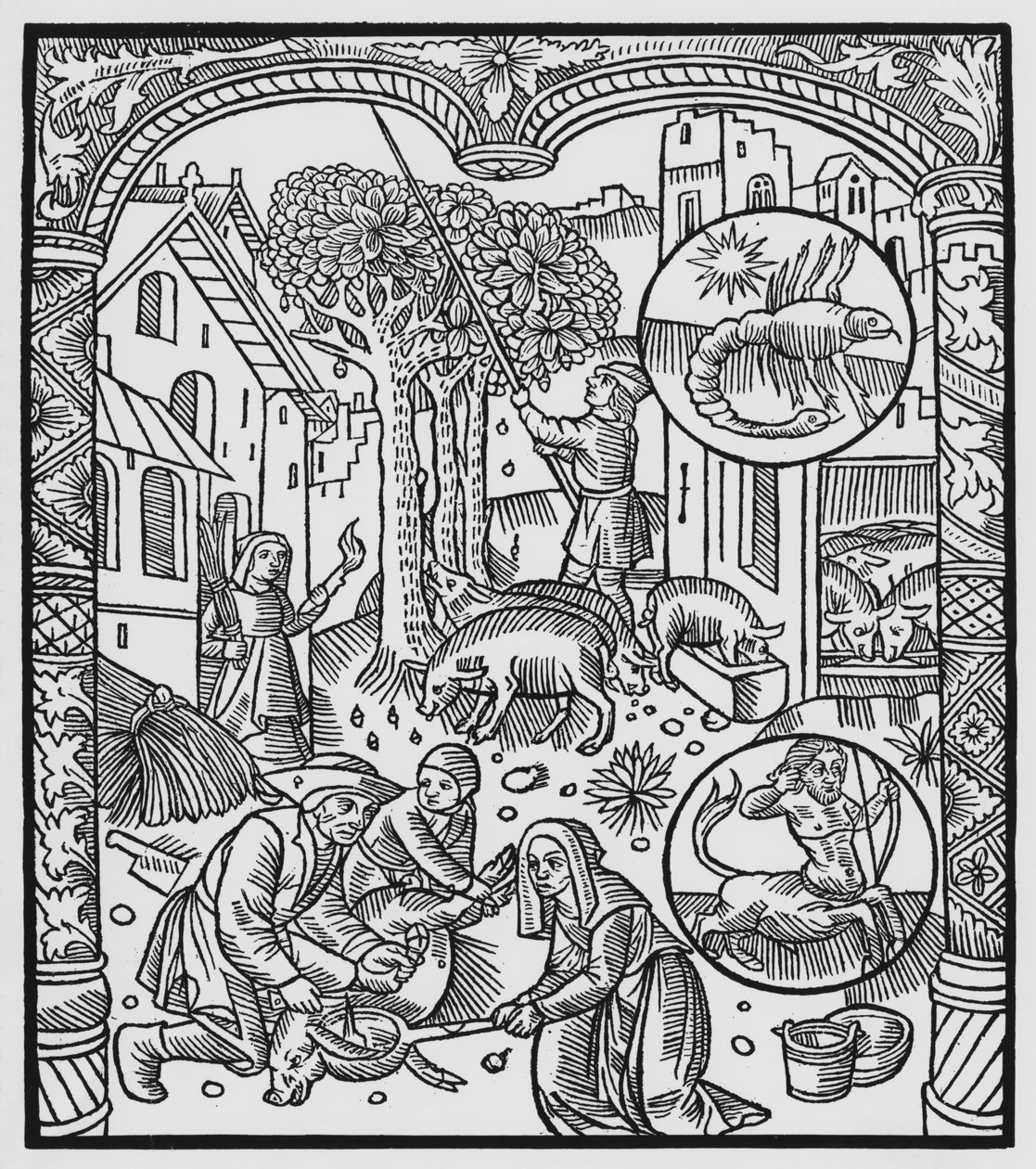 Listopad, zabíjení prasete a sklizeň žaludů, Štír, ilustrace z 