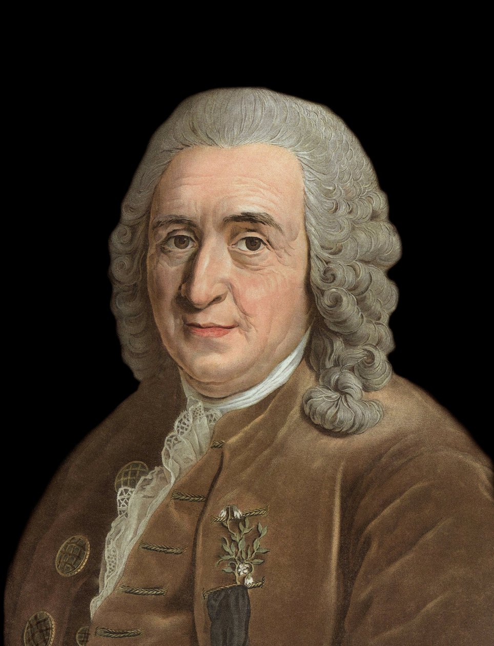 Portrét Charlese Linnea (Carl von Linne, Linneus 1707 - 1778), švédský přírodovědec - rytina Pierre Michel Alix (1762-1817) od Pierre Michel Alix