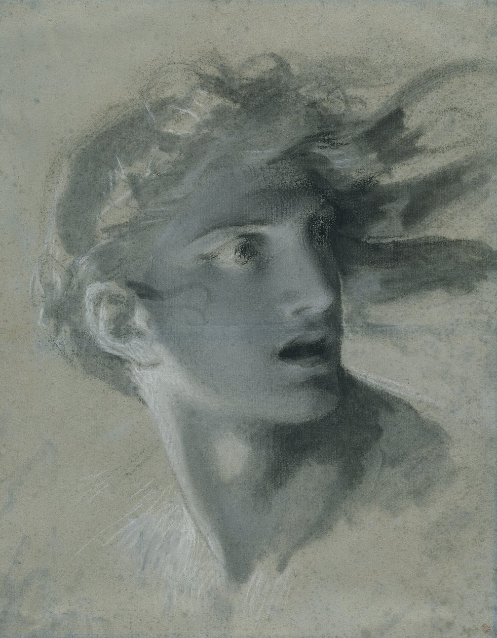 Hlava pomsty, kolem roku 1804 od Pierre Paul Prudhon