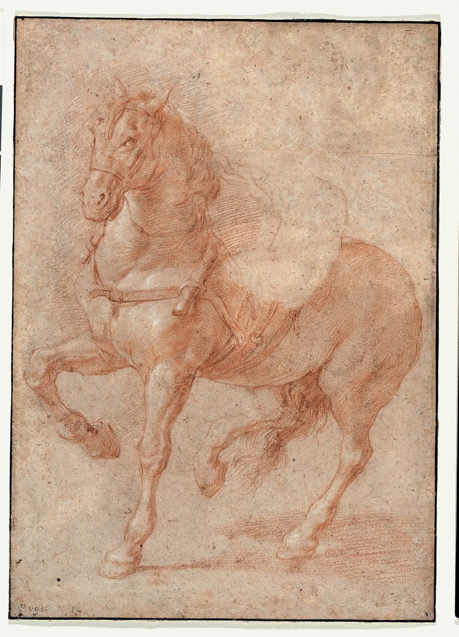 Studie Bucefala pro reliéf "Alexandr a Diogenes" od Pierre Puget