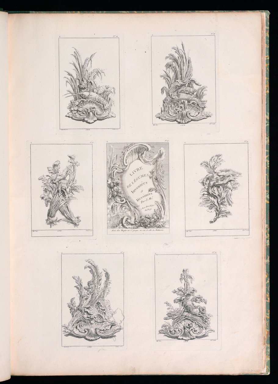 Ornament Design with Two Dead Birds ležící na větvi Acanthus, od Livre de Legumes od Pierre Quentin Chedel