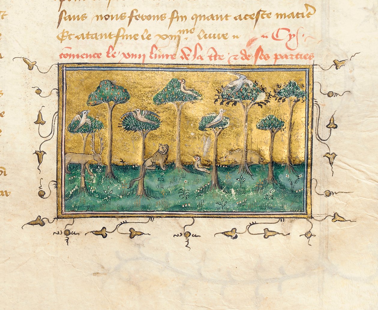 Detail stránky z "De Proprietatibus Rerum" od Bartholomea Anglicuse, ve francouzském překladu Jean Corbechon, c.1390 od Pierre Remiet