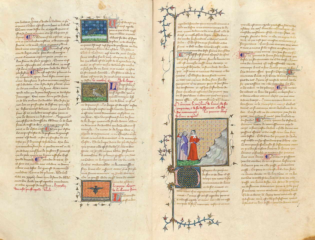Stránka z „Vlastnosti věcí“ od Angličana Bartoloměje ve francouzském překladu Jeana Corbechona, kolem roku 1390 od Pierre Remiet