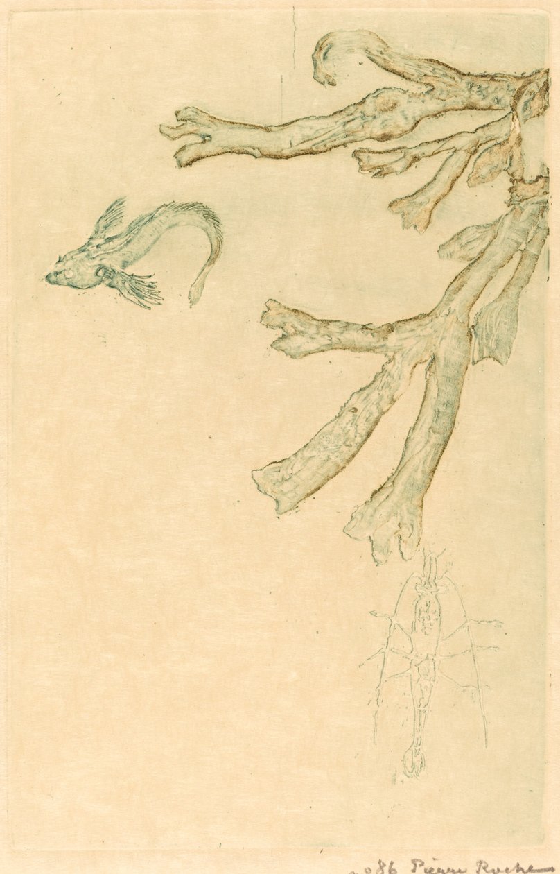 Mořské řasy (Algues marines) od Pierre Roche