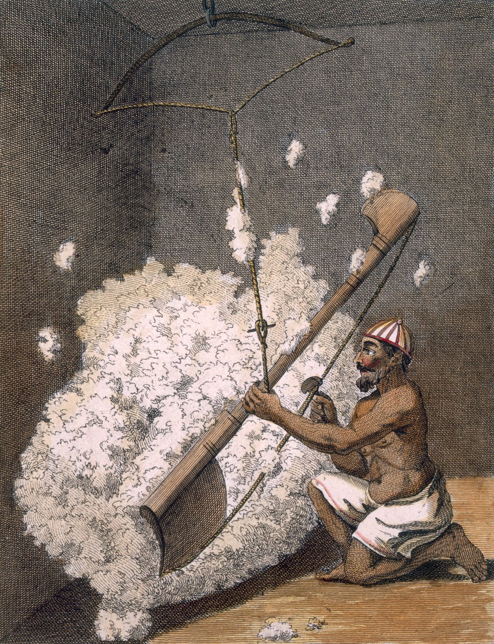 Mykací bavlna, 1782. od Pierre Sonnerat