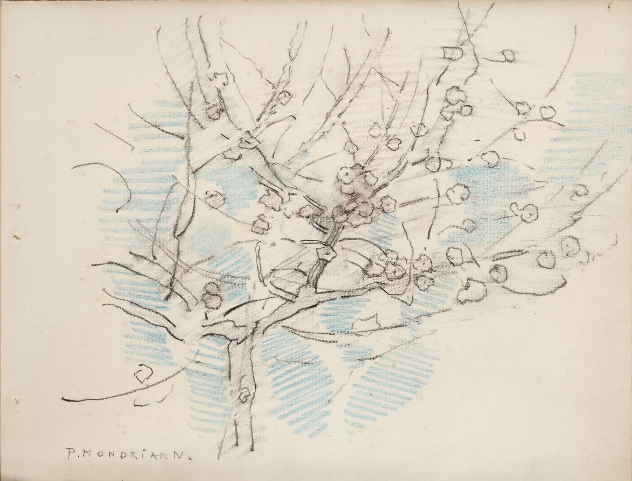 Kvetoucí strom, cca 1917-18 (tužka a pastelka na papíře) od Piet Mondrian