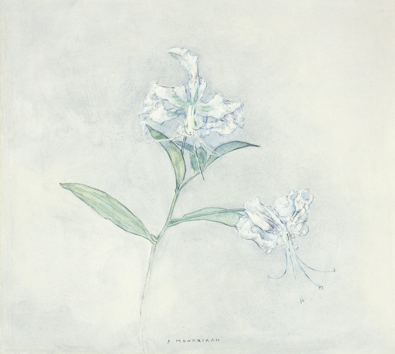 Dvě japonské lilie; Dvě japonské lilie od Piet Mondrian