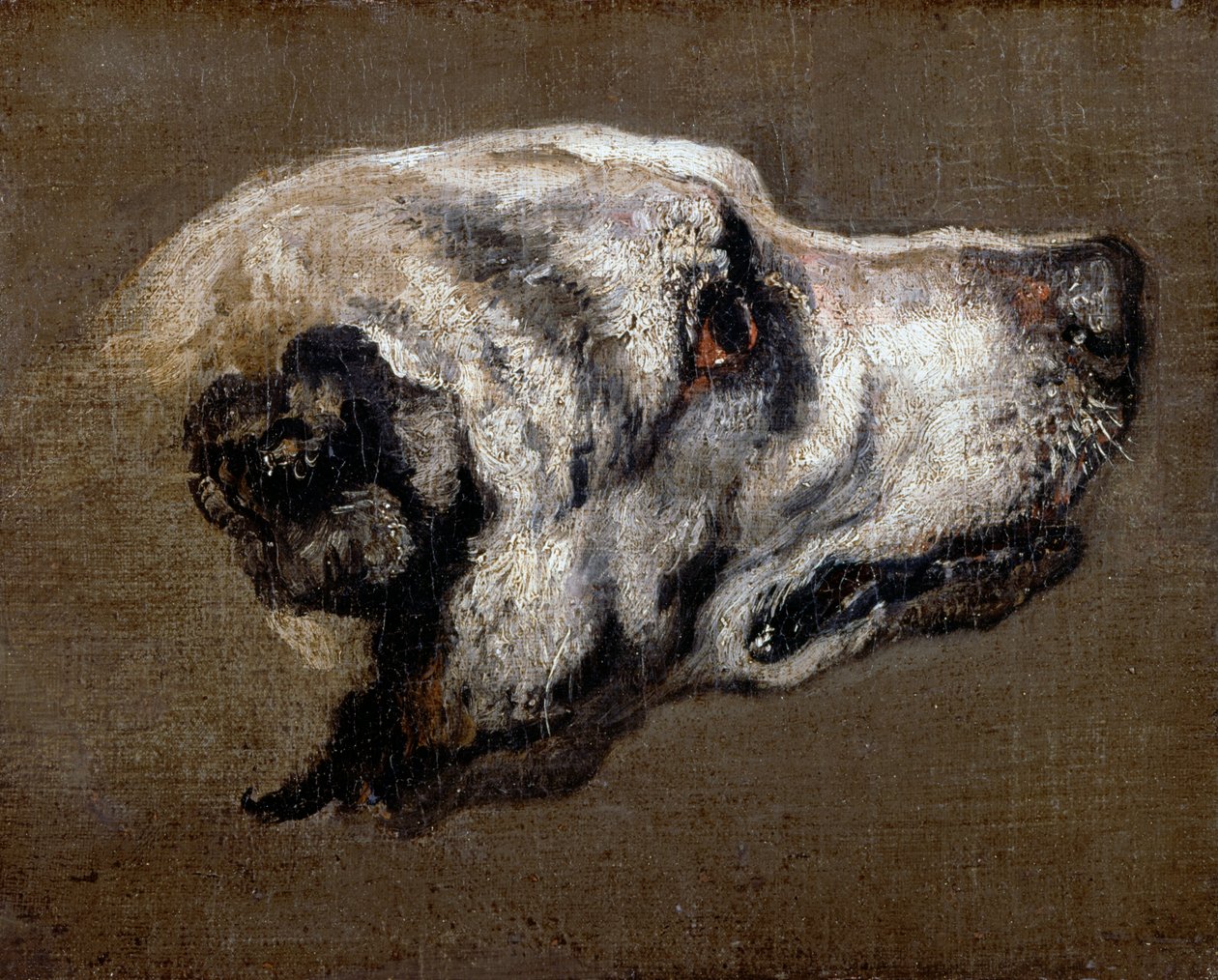 Hound of Hound od Pieter or Peter Boel