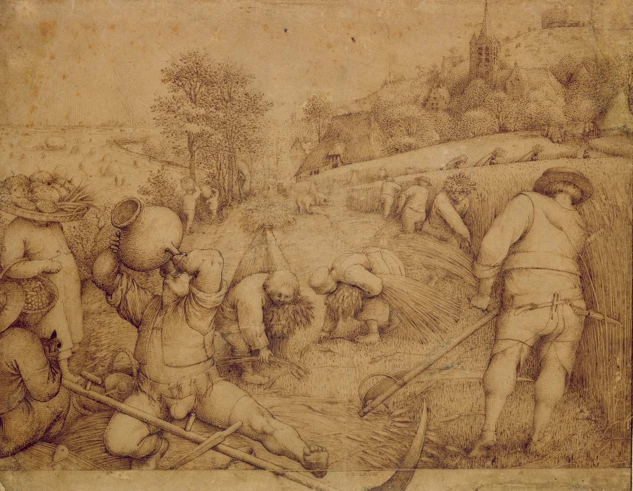 Léto, 1568 (pero a inkoust na papíře) od Pieter Bruegel the Elder
