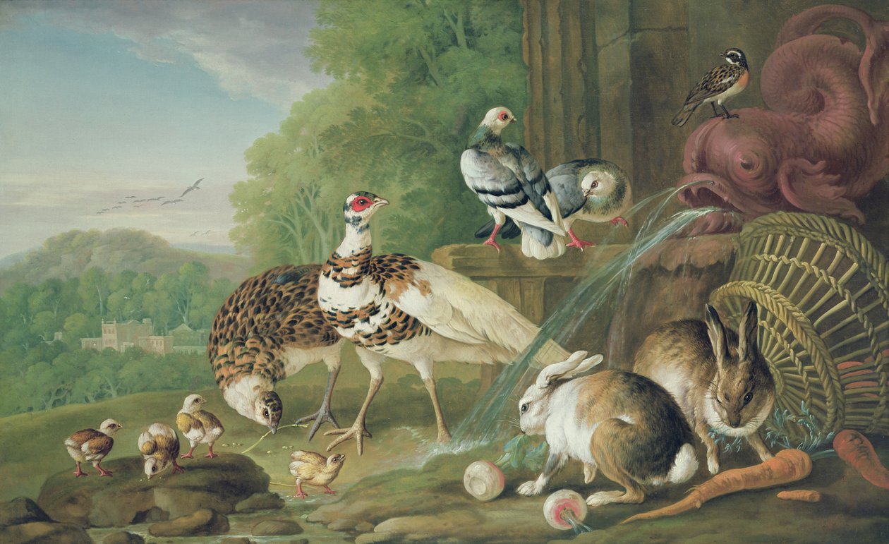 Ptáci a králíci od Pieter Casteels