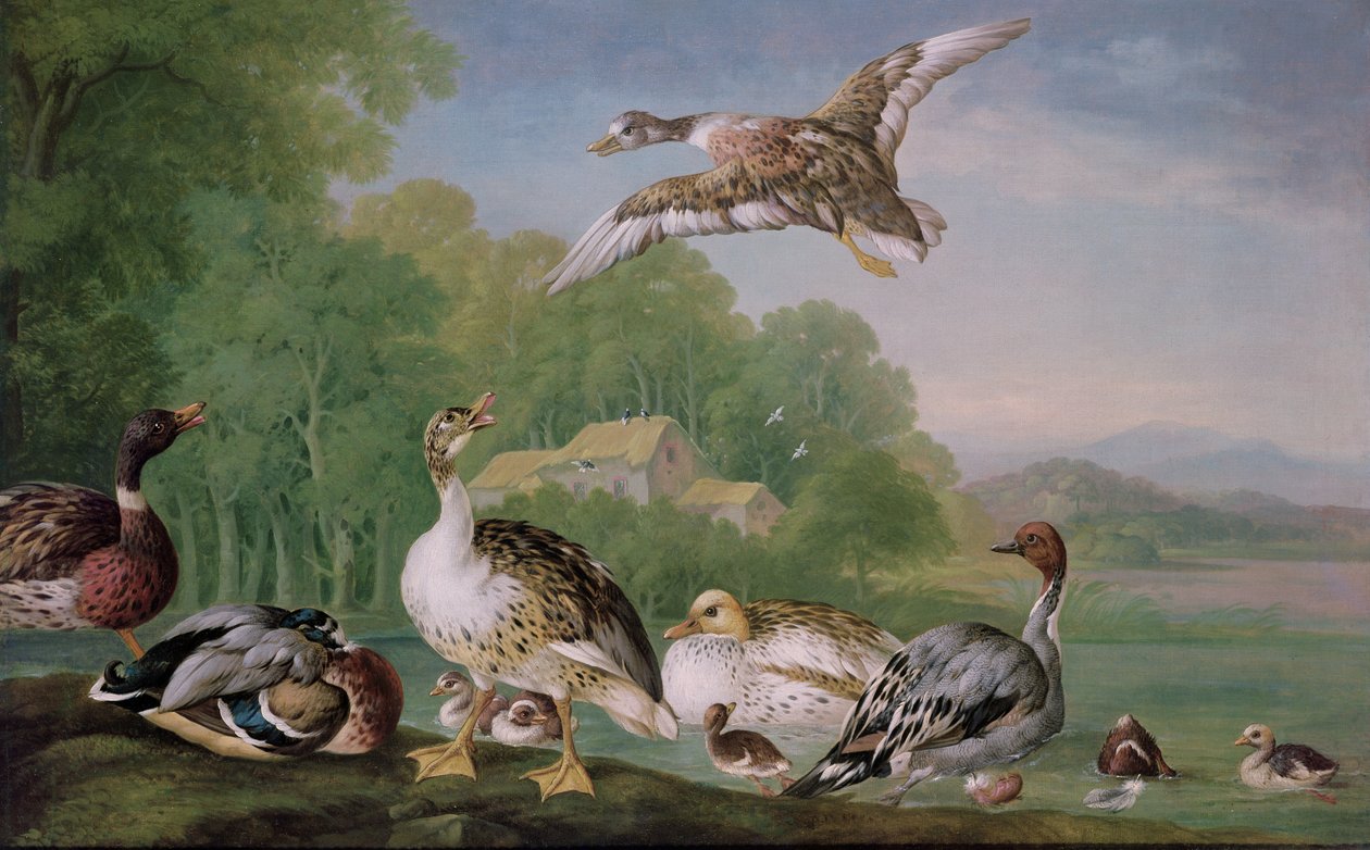 Unbekanntes Bild od Pieter Casteels