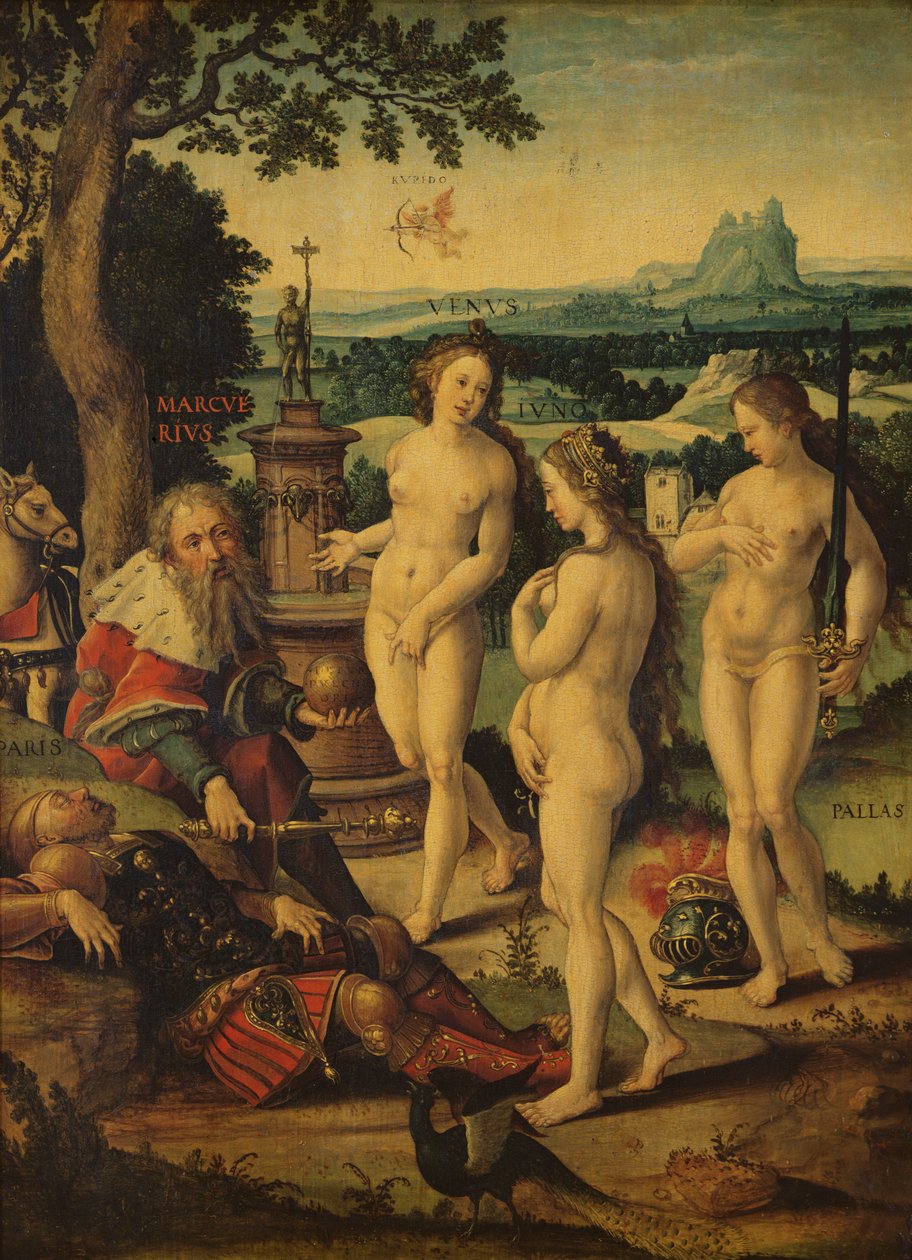 Sen o Paříži od Pieter Coecke van Aelst