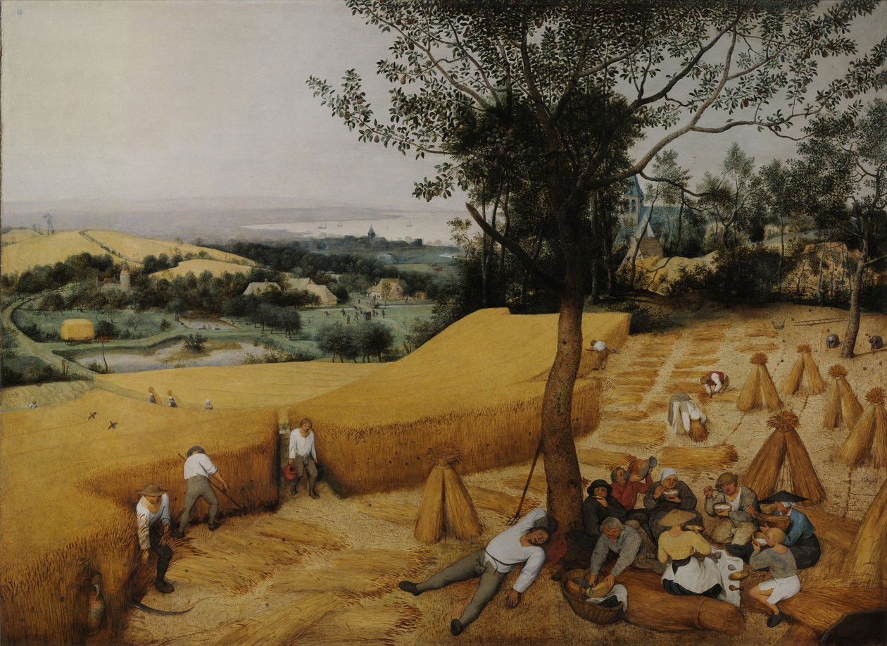 Kombajny od Pieter Bruegel the Elder