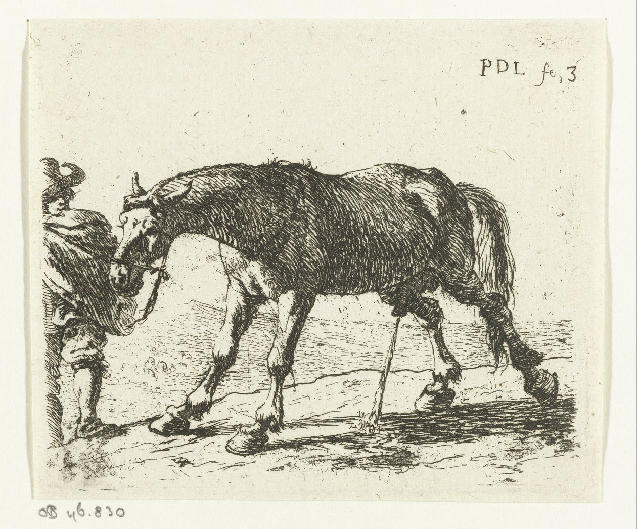 Čůrající kůň od Pieter van Laer
