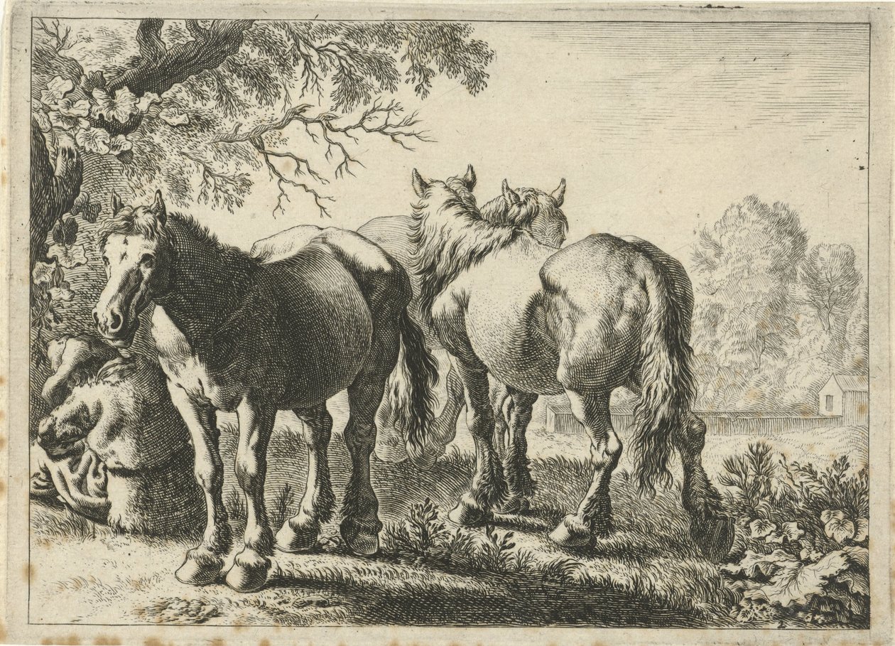Tři koně a farmář Různá zvířata (název série) od Pieter Bodding van Laer