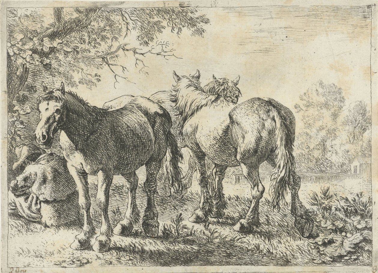 Tři koně a farmář Různá zvířata (název série) od Pieter Bodding van Laer