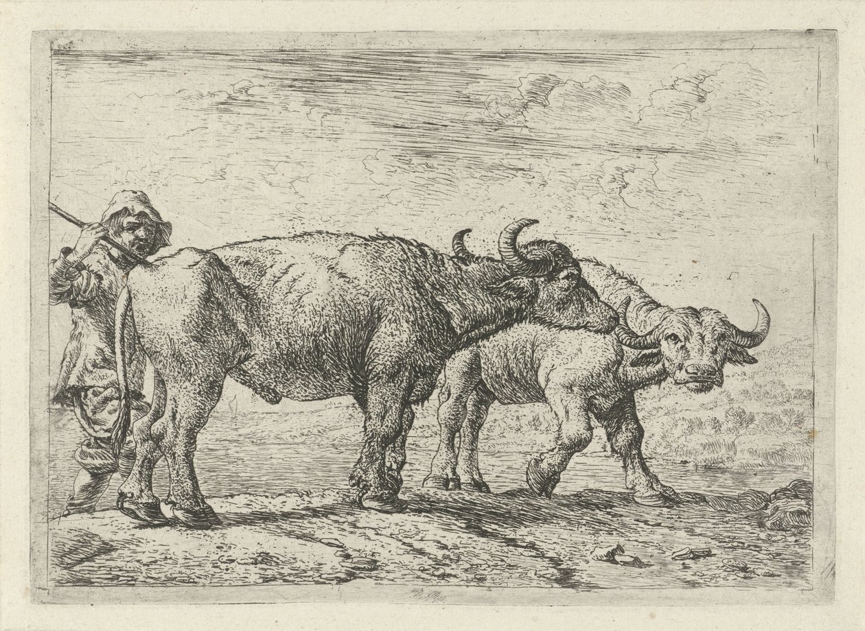 Dva buvoli a ovčák Různá zvířata (název série) od Pieter Bodding van Laer