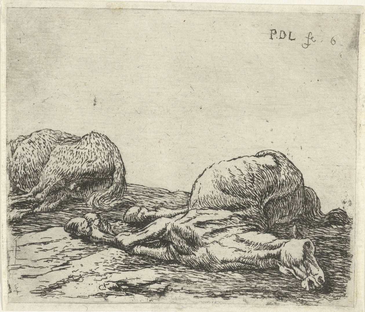 Dva mrtví koně Koně (název seriálu) od Pieter Bodding van Laer